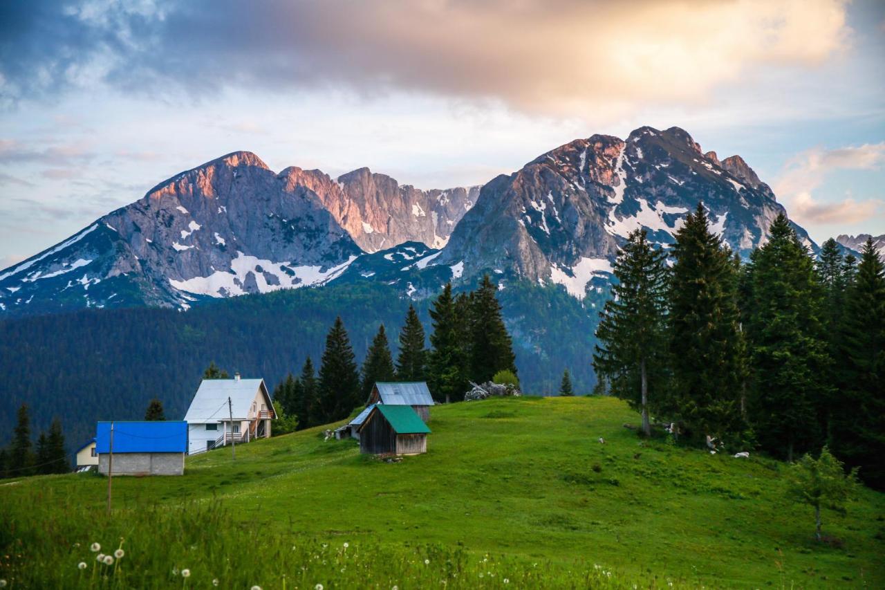 Bungalows Fairy tale Zabljak  Bagian luar foto